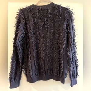 Banana Republic Limited Edition Navy Fringe Sweater